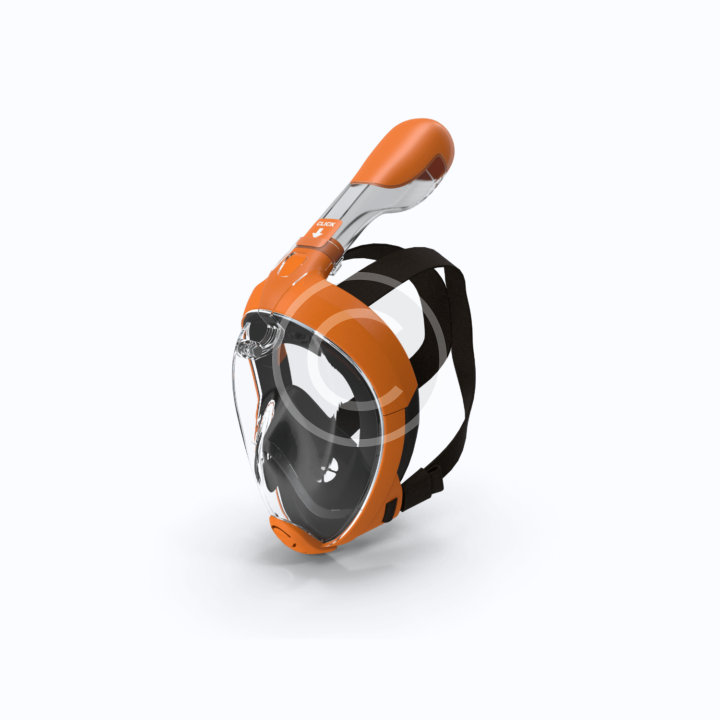 Snorkel Mask